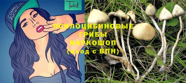 стафф Медвежьегорск