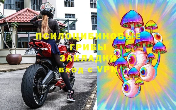 стафф Медвежьегорск